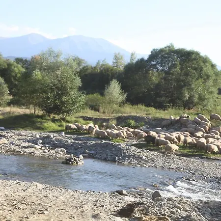 La Mosu Vila *